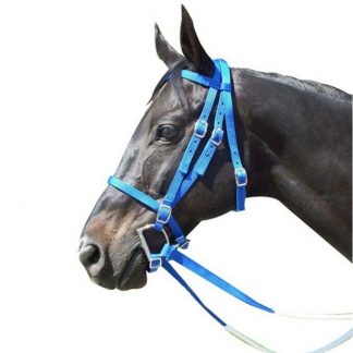 Intrepid Nylon Race Bridle w/ Rubber Reins - Horse Size - Royal Blue