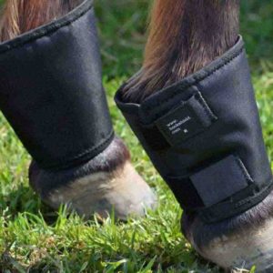 CLICK Fetlock Shield Boots - Regular Horse - Black - New