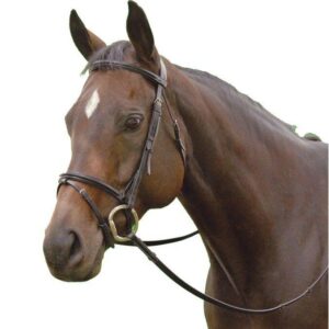 Exselle Elite Plain Raised Padded Economy Event Bridle w/ Flash /Horse Sz /Brown