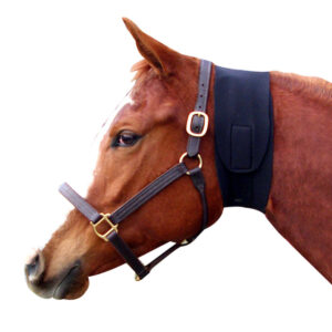 IIJOWLSweat5in-HsBlk